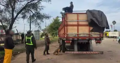 Lo que escondían los tanques de combustible de un camión en Córdoba: el destino era Mendoza