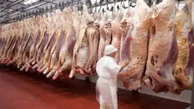 China le abrió las puertas a Brasil: ¿qué pasará con la carne argentina?