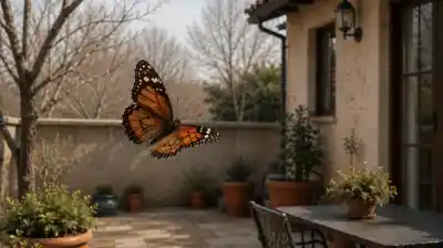 ¿Mariposas en invierno? La señal que nadie espera y su significado oculto