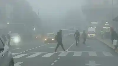 Alerta por niebla en Buenos Aires y cuatro provincias: lo que tenés que saber para circular