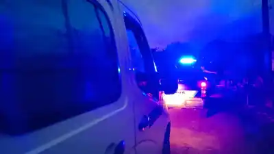 Un joven de 18 años se llevó una sorpresa fatal en la Ruta 204: el animal que apareció de la nada