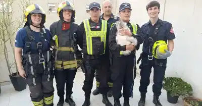 Se escapó de su casa y la encontraron atrapada: el insólito rescate de una gatita en Rosario