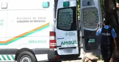 Salía de una bodega y el impacto fue fatal: una mujer de 74 años murió en la Ruta 14