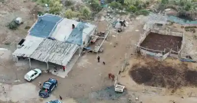 Robaron dos caballos en Maipú y el operativo terminó con un hallazgo que sorprendió a todos