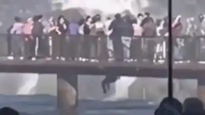 Arriesgó su vida por un celular: el insólito rescate en las Cataratas del Iguazú que se volvió viral
