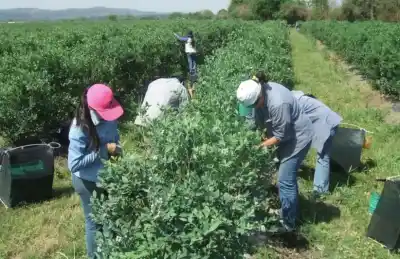 Robo en una Finca de Amberes: Los dueños denuncian Inacción Policial