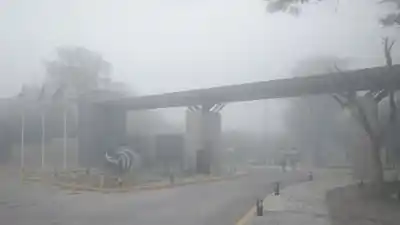 Niebla y frío extremo en Añatuya: la sensación térmica que sorprendió a todos