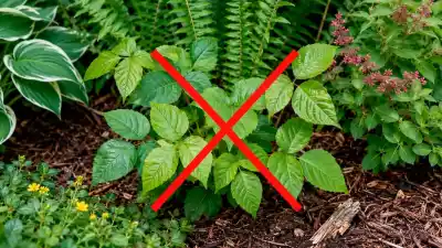 El truco definitivo de un agricultor para eliminar la hiedra venenosa del jardín para siempre