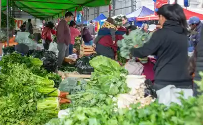 Vuelve la Feria Campesina Pucará: los detalles que tenés que saber