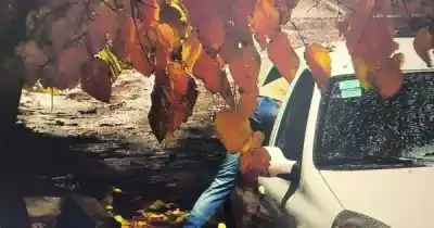 Rompió la ventanilla de un auto en segundos, pero las cámaras ya lo habían visto todo