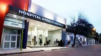 Récord histórico de donantes en Argentina: el hospital Padilla de Tucumán se destaca en el ranking nacional