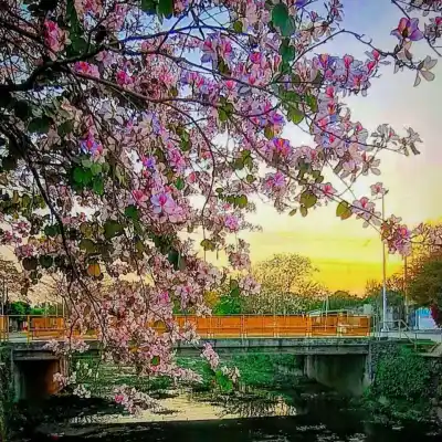 Se esperan temperaturas elevadas para el fin de semana en Tucumán
