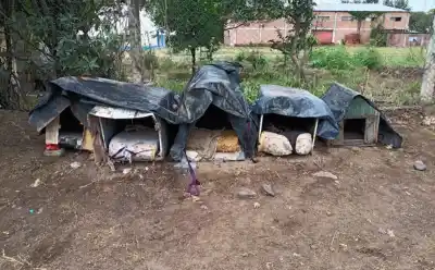 Volvieron al refugio comunitario y se toparon con una escena desgarradora
