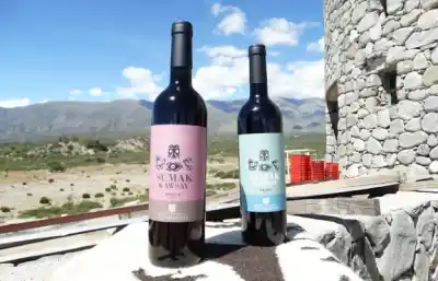 A 2.100 metros de altura, una bodega comunitaria desafía el mercado del vino con identidad ancestral