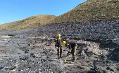 Prenden fuego en los cerros para espantar pumas y generan incendios descontrolados