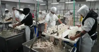 Tomaron el control del frigorífico, pero lo que encontraron adentro es solo el principio