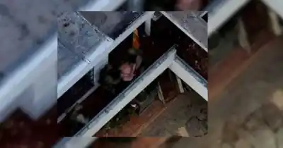 Escapó por los techos mientras un dron lo seguía: detuvieron al prófugo que buscaban por tentativa de homicidio