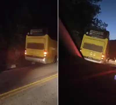 Milagro en la Ruta 307: “Dios Salvó a Niños y Docentes de una Tragedia”