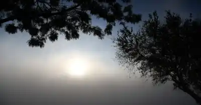 Niebla y frío a la mañana, pero el sol vuelve a Rosario esta tarde