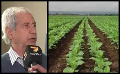 Reunión clave en la Cámara del Tabaco: el sector exige fondos y rechaza la Ley 5918
