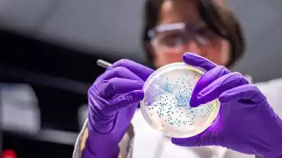 Bacterias que no perdonan: el preocupante hallazgo que enciende las alarmas en Jujuy y el norte argentino