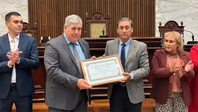 Reconocimiento a los pilotos que combatieron incendios en Chubut: qué distinción recibieron
