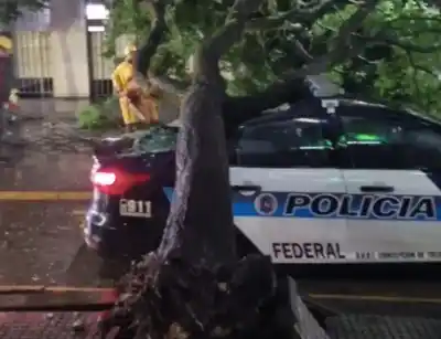 Un árbol cae sobre un patrullero en el centro de Concepción