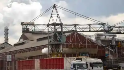 La zafra 2026 suma tres ingenios: Concepción, Famaillá y San Isidro ya están moliendo