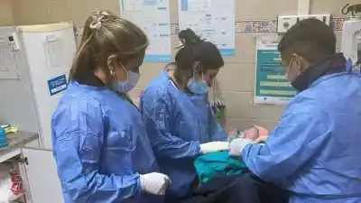 Llegó al CAPS con trabajo de parto y no dio tiempo: Pía nació en El Cadillal