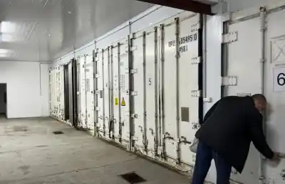 No pagó Ingresos Brutos y la Justicia provincial activó una herramienta penal inédita contra su frigorífico