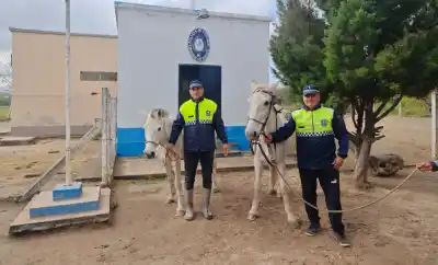 Escuchó ruidos en la madrugada y al salir descubrió que le habían robado dos caballos