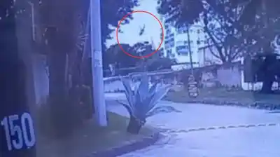 Cayó del cielo: el video que muestra el instante exacto del choque de helicópteros en Río