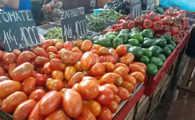 El precio del tomate se desploma y el zapallito se vuelve un lujo accesible: el nuevo mapa de las verduras en Jujuy
