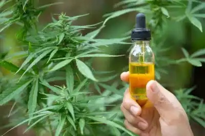 Crean un consejo clave para el cannabis medicinal: quiénes lo integrarán y cómo funcionará