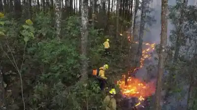 2da Convivencia de Brigadistas Forestales en Monteros