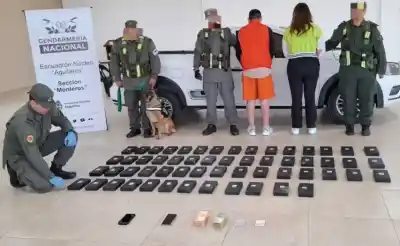 Gendarmería incauta más de 60 kilos de cocaína en la Ruta 307