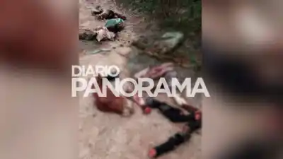 Hallazgo macabro en Las Termas: ¿qué esconden los restos de equinos en un camino vecinal?