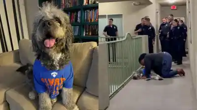 Festejaba el triunfo de los Knicks, la policía irrumpió en su casa y le disparó a su perro