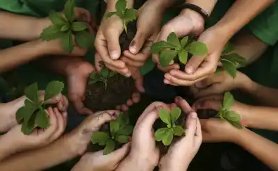 150 estudiantes ya trabajan para que la FNE 2026 sea más verde: los detalles del plan