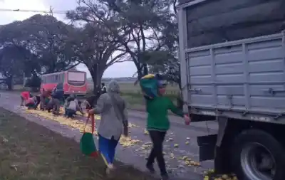 Toneladas de limones se desparraman en plena ruta y el tránsito queda paralizado