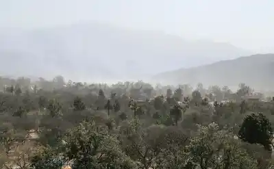 El viento zonda golpeó la Puna y ahora los técnicos luchan contrarreloj para devolver la luz