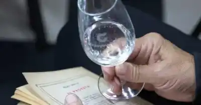 Una noche de espumantes y letras: llega BrindArte a Guaymallén con un invitado especial