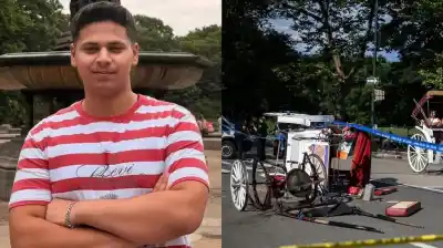 Un joven turista murió en Central Park: el caballo se desbocó y el carruaje volcó