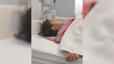 El desgarrador pedido solidario para Briana, la nena de 8 años que lucha por su vida tras el choque fatal