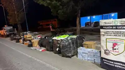 Operativo Lapacho: lo que encontraron en los controles fronterizos que nadie esperaba