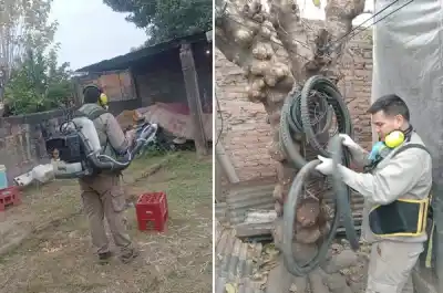 Alarma en Banda del Río Salí: qué encontraron los brigadistas casa por casa tras un caso de chikungunya
