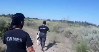 Siguió un rastro por un kilómetro y encontró lo que buscaban: el héroe de cuatro patas que resolvió un robo en San Rafael