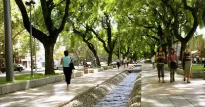 El paseo que San Martín soñó: la historia secreta de la Alameda de Mendoza