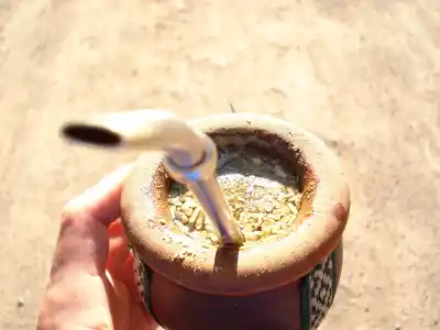 “Día del Mate”: ¿Por qué se celebra hoy?