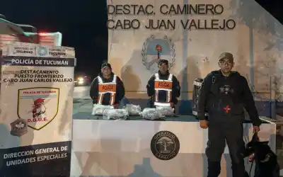 Un perro antidrogas descubrió el cargamento: detuvieron a una mujer tras una entrega vigilada